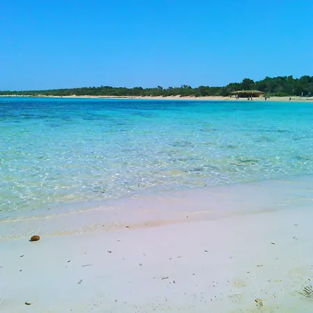 Appartement - Enjoytheseaincolonia We Rent From Sat To Sat, Except Winter Colonia de Sant Jordi