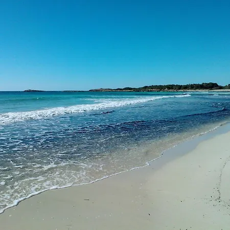 - Enjoytheseaincolonia We Rent From Sat To Sat, Except Winter * Colonia de Sant Jordi